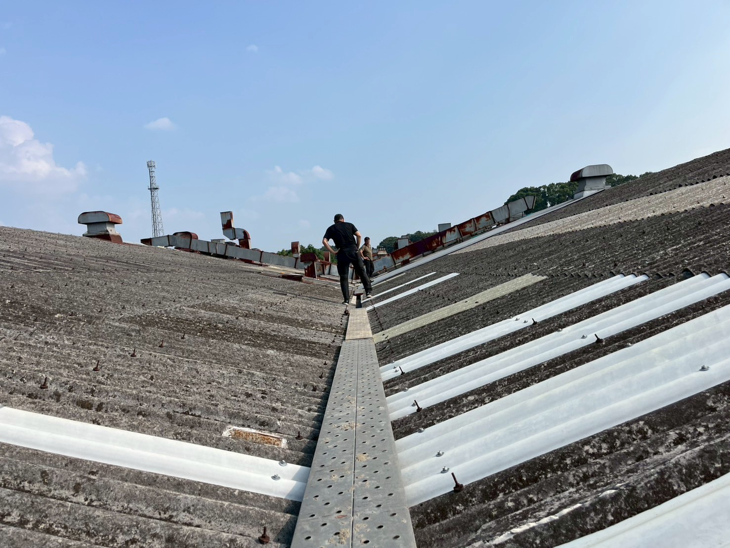 工場の屋根に登って状況確認中